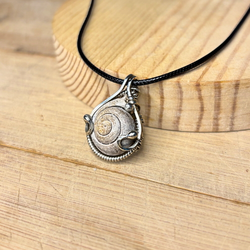 Sea Snail Fossil Pendant