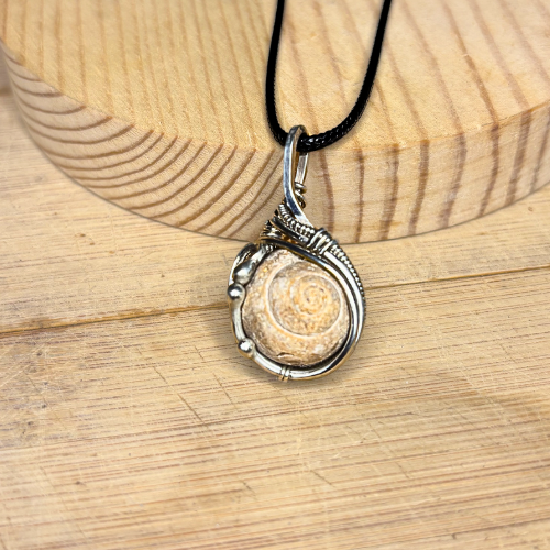 Sea Snail Fossil Pendant