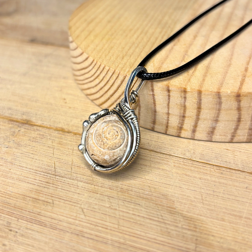 Sea Snail Fossil Pendant