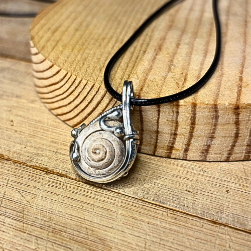 Sea Snail Fossil Pendant